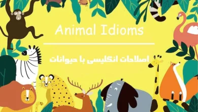 اصطلاح کاربردی انگلیسی درباره حیوانات