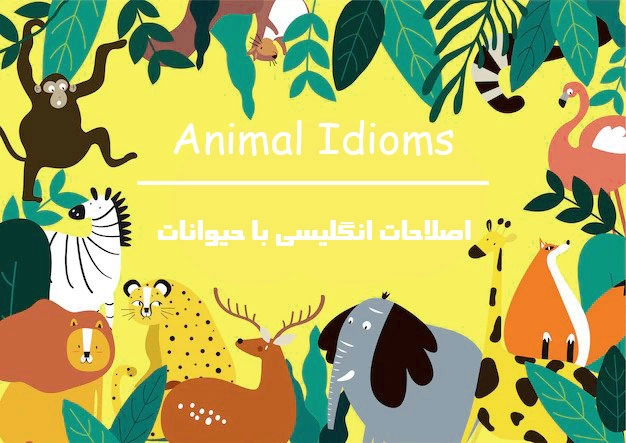 اصطلاح کاربردی انگلیسی درباره حیوانات