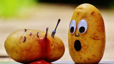 اصطلاح انگلیسی با غذا