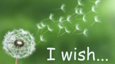 کاربرد wish در انگلیسی