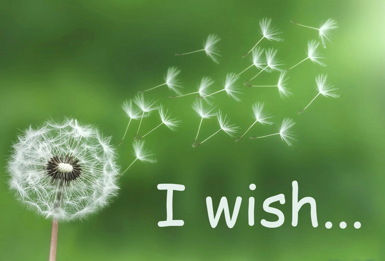 کاربرد wish در انگلیسی