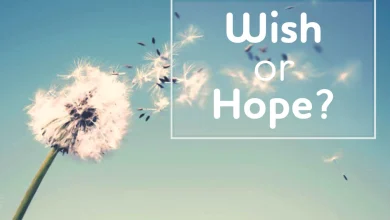 تفاوت wish و hope