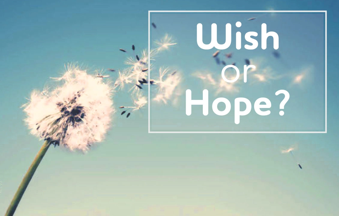 تفاوت wish و hope