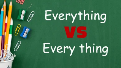 تفاوت everything و every thing
