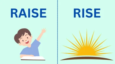 تفاوت Rise, Raise و Lift