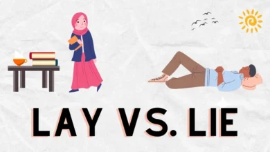 کاربرد و تفاوت lay و lie